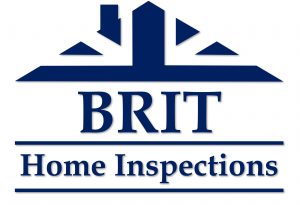 correct bhi logo full navy blue